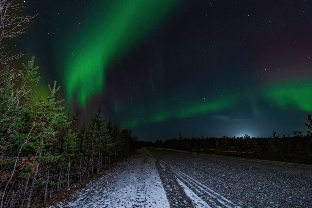 Photograph by Алексей Чеботарев