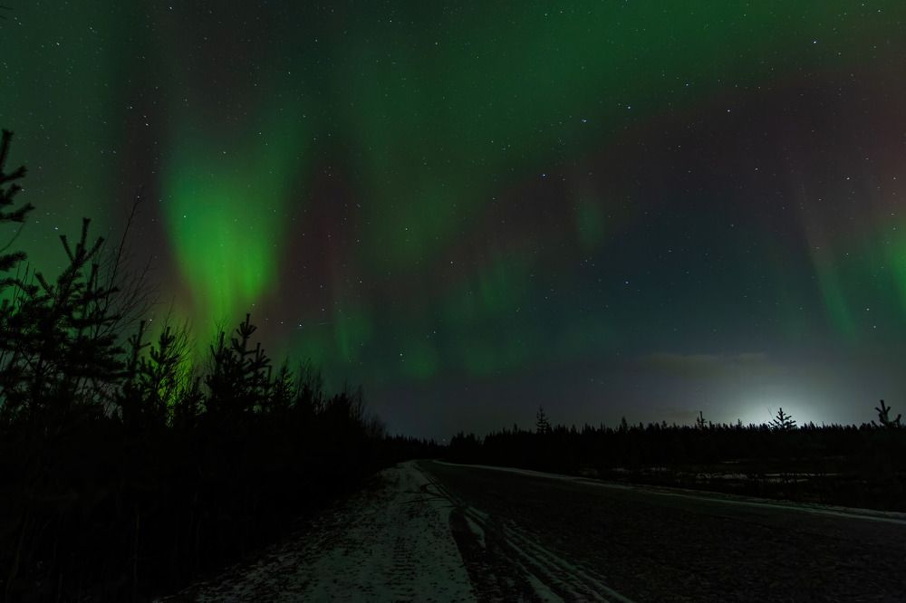 Photograph by Алексей Чеботарев