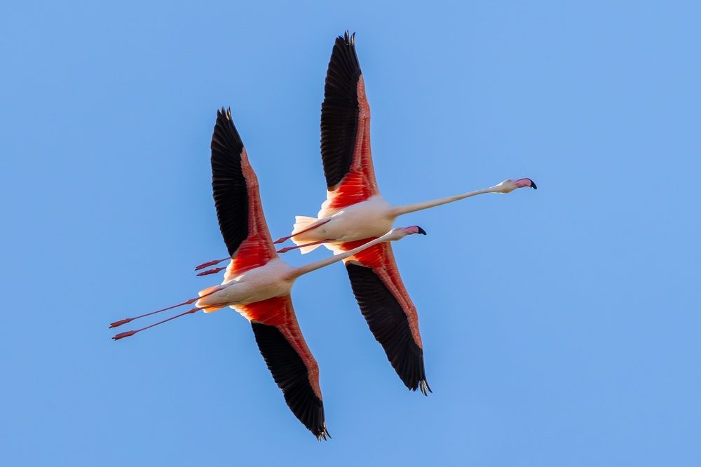 Photograph by Vida Shams