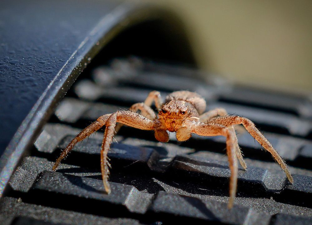 Photograph by Юлия Лушникова