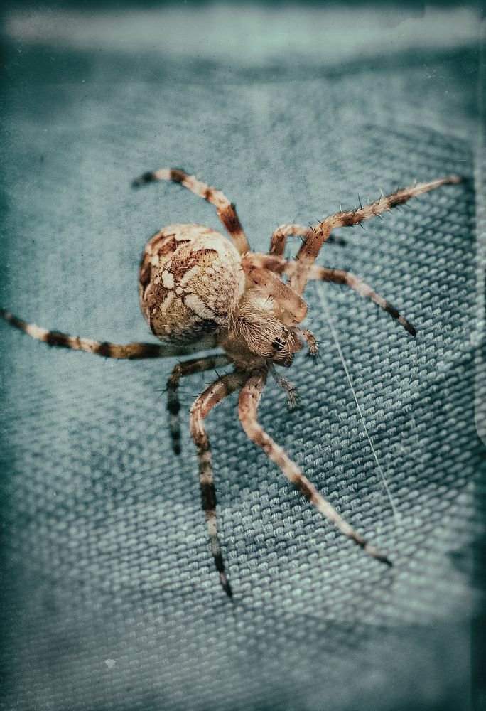 Photograph by Юлия Лушникова