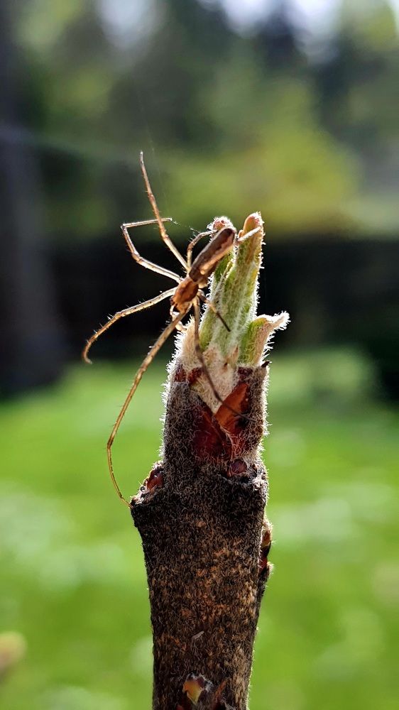 Photograph by Виктория Образцова