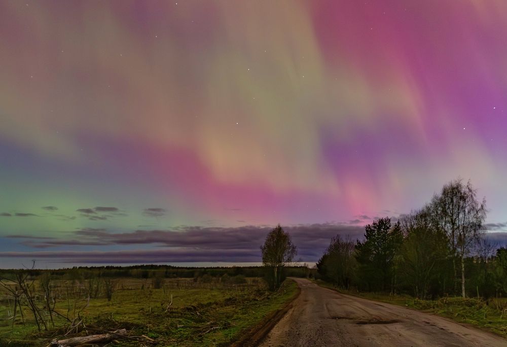 Photograph by Максим Григорьев