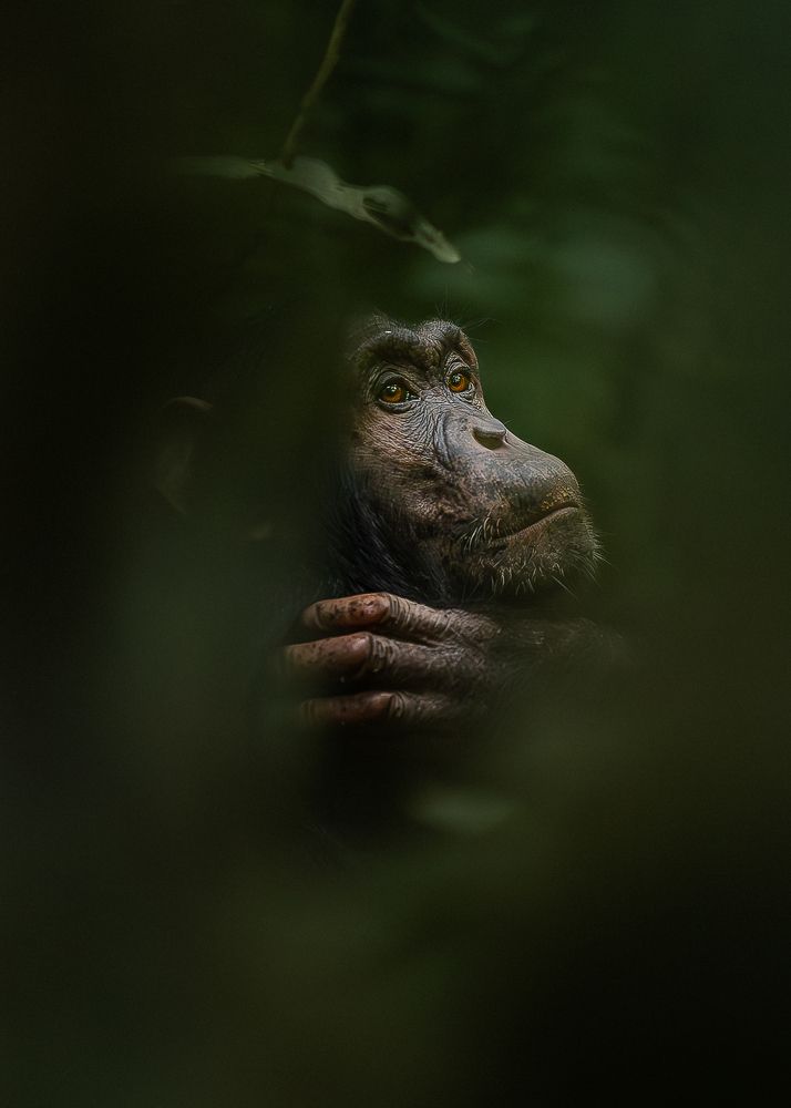 Photograph by clara mur