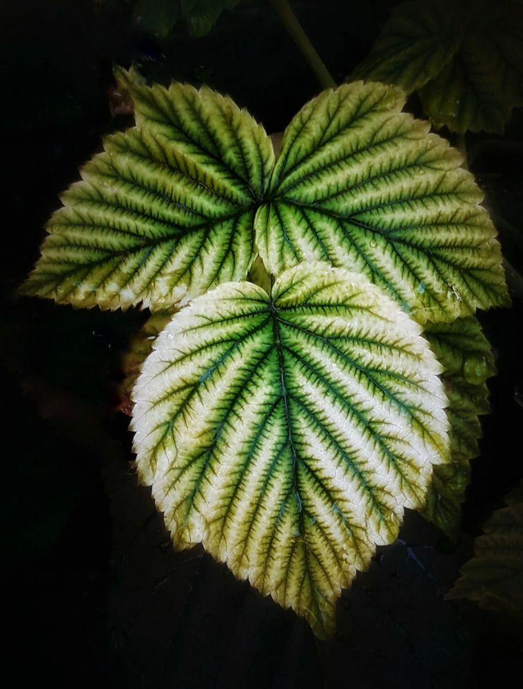 Photograph by Марина Мальцева