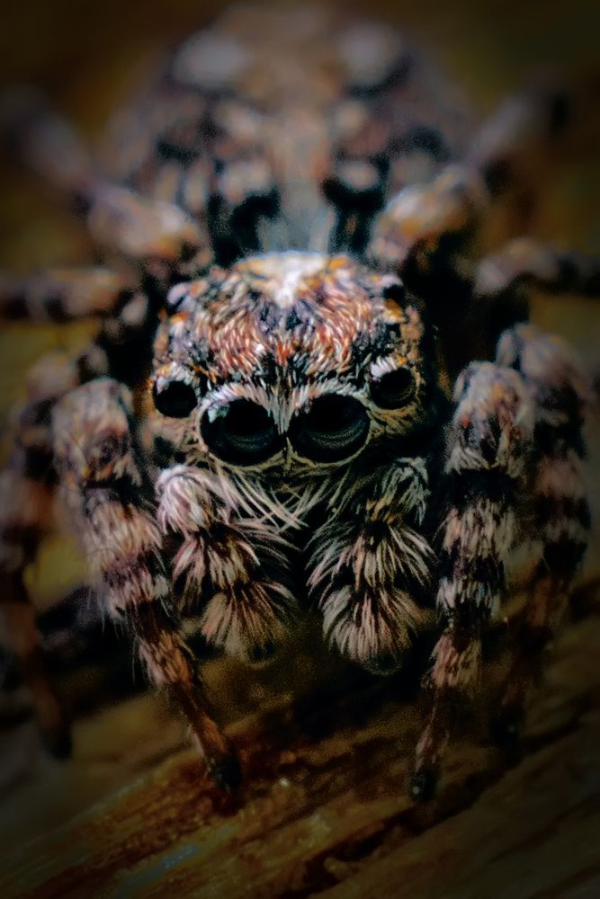 Photograph by Сергей Немчинов