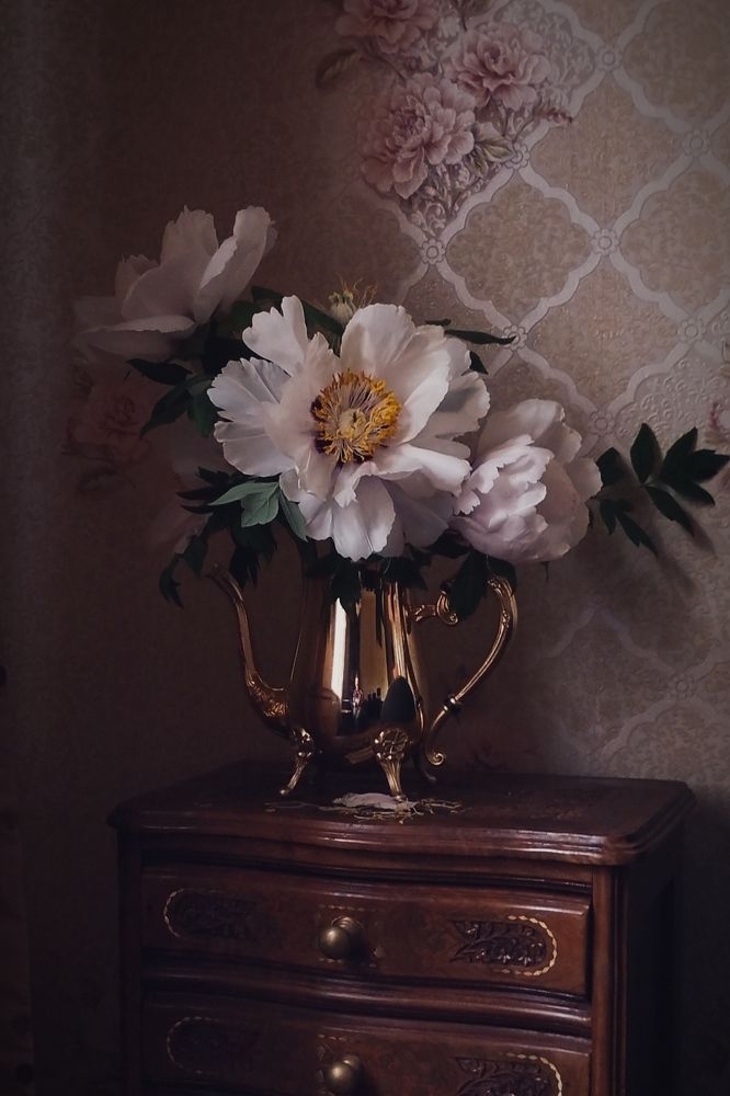 Photograph by Ольга Богорад