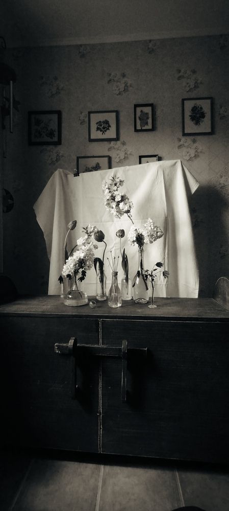 Photograph by Ольга Богорад