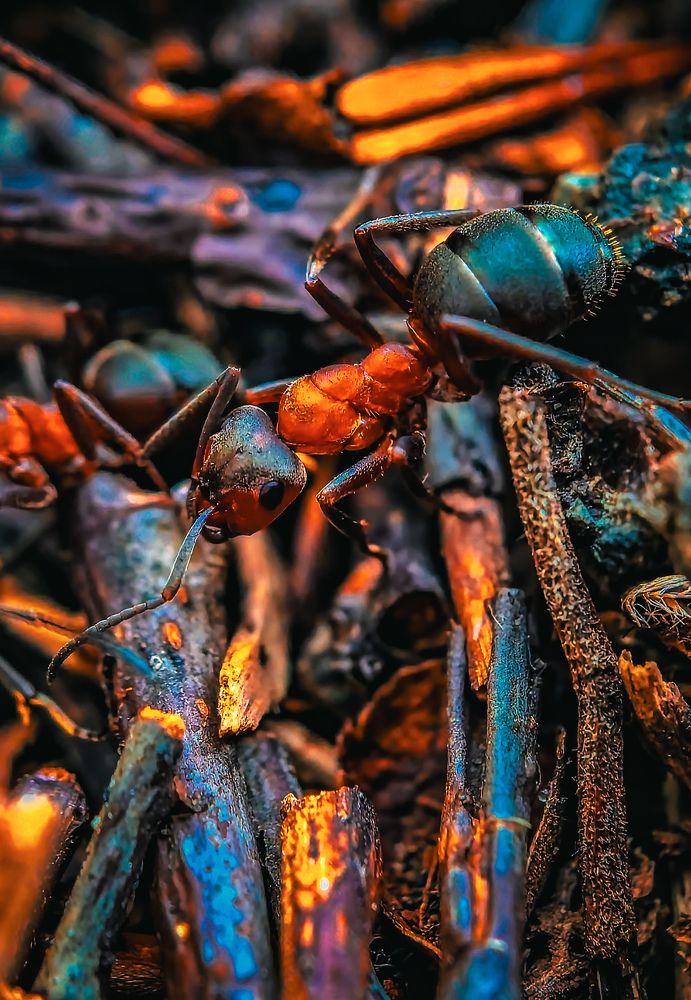 Photograph by Сергей Степаненко