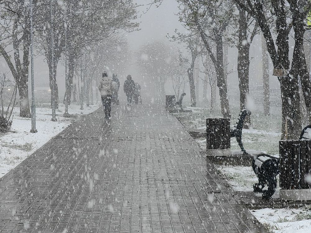 Photograph by Юрий Полушин