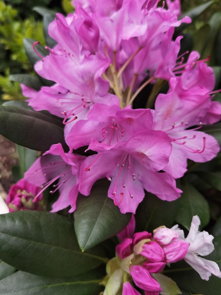 Photograph by Зимфира Хазиева