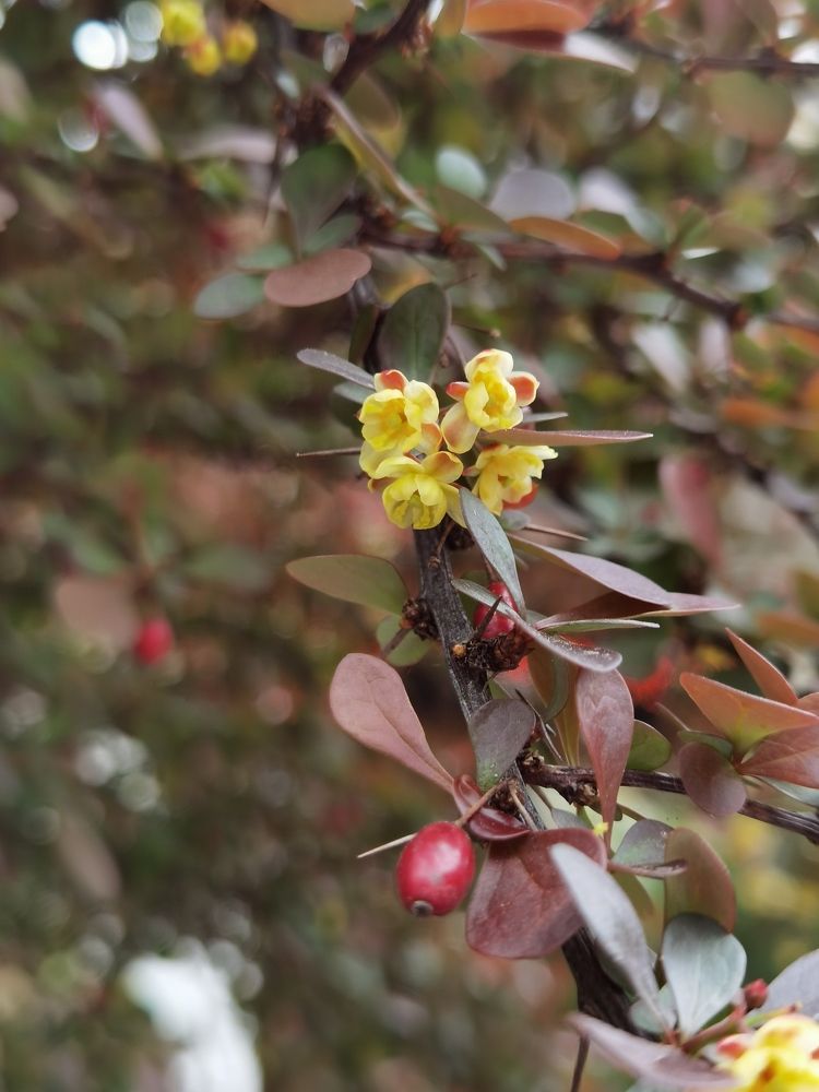 Photograph by Зимфира Хазиева