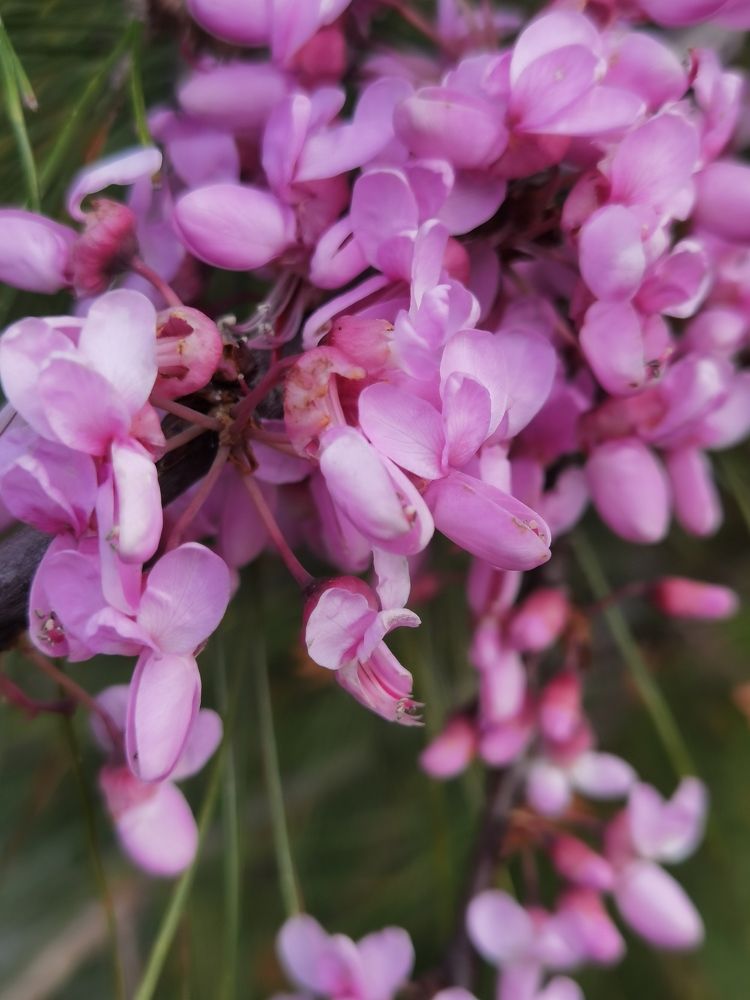 Photograph by Зимфира Хазиева