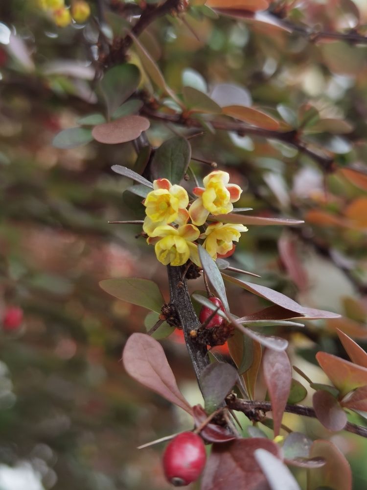 Photograph by Зимфира Хазиева