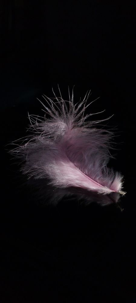 Photograph by Ольга Богорад