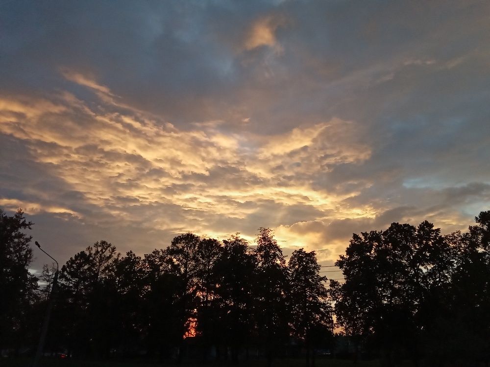 Photo #10596455