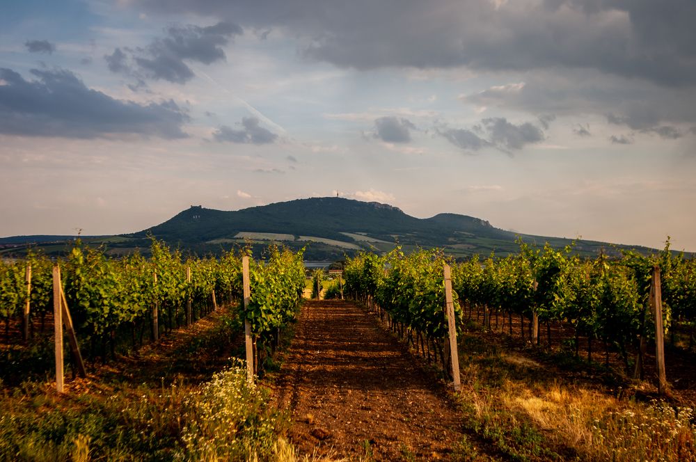 Фотография автора Chorche Prigo