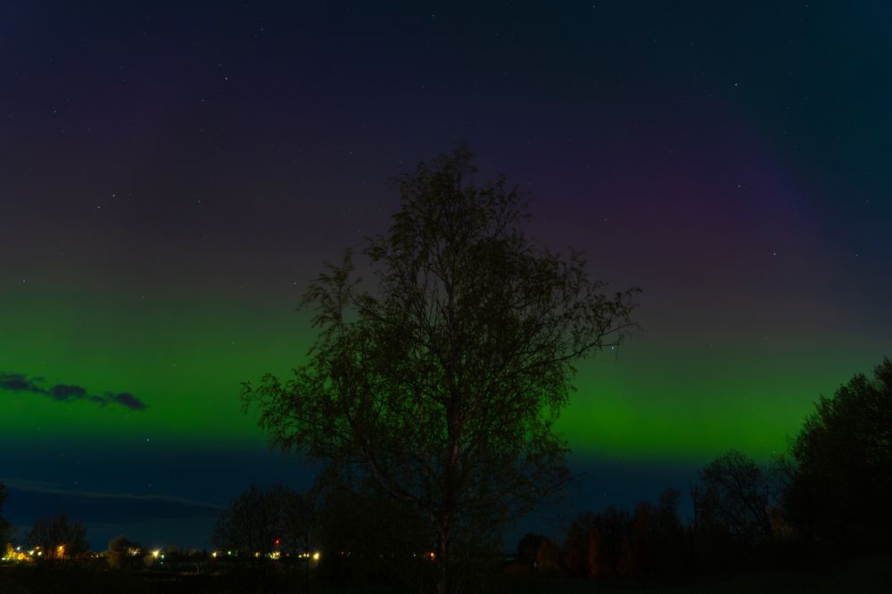 Photograph by Vitaly Zubkov