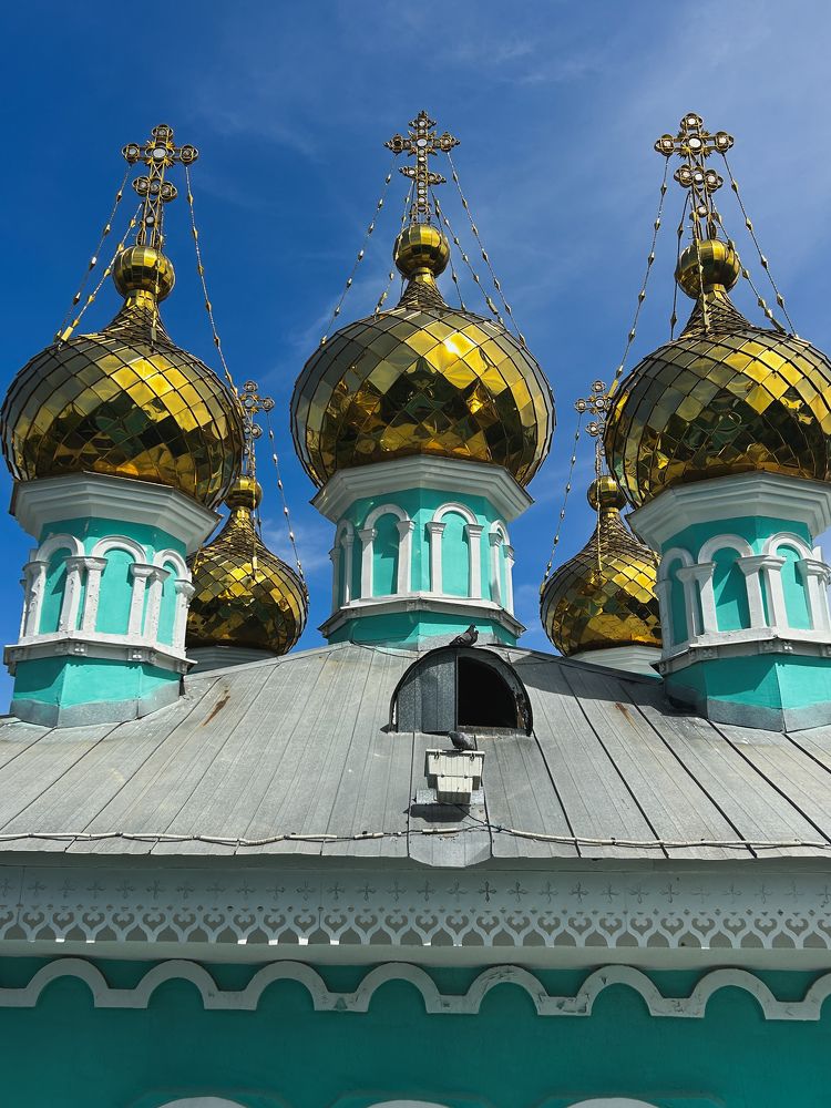 Фотография автора Алёна Васина