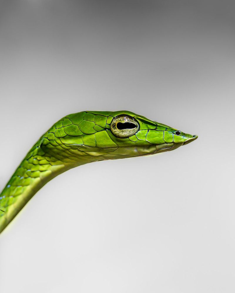 Photograph by Ashik S