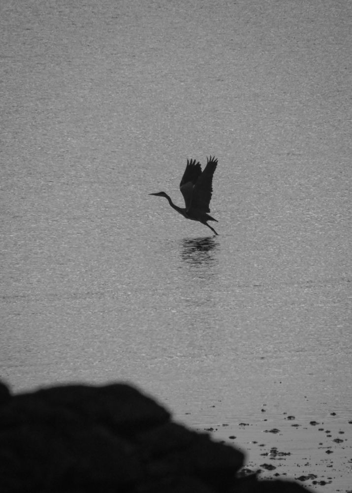 Фотография автора Michael Gault