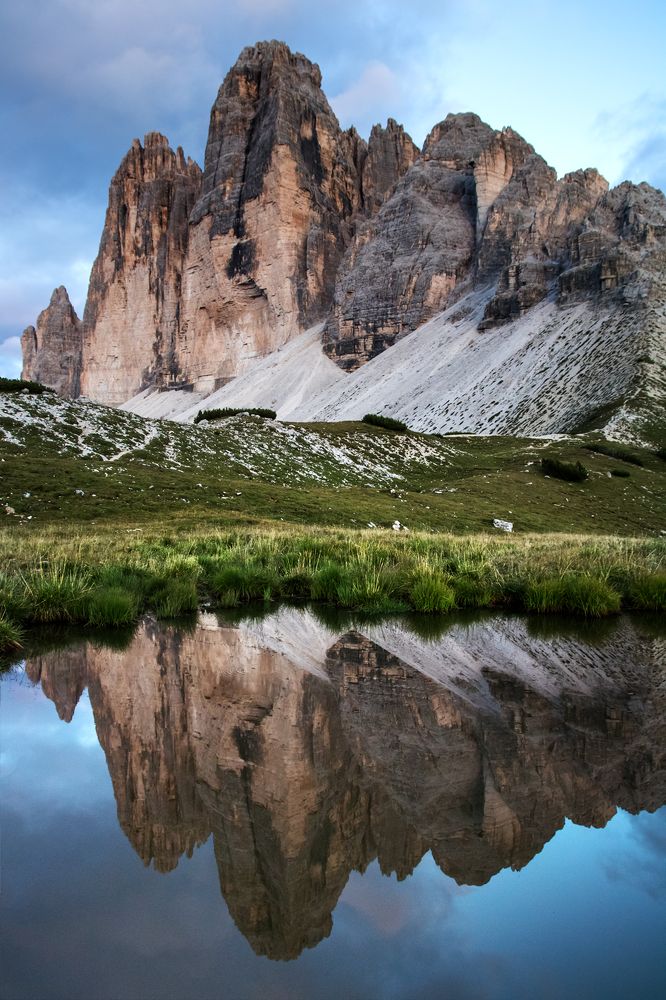 Enjoying its own reflection