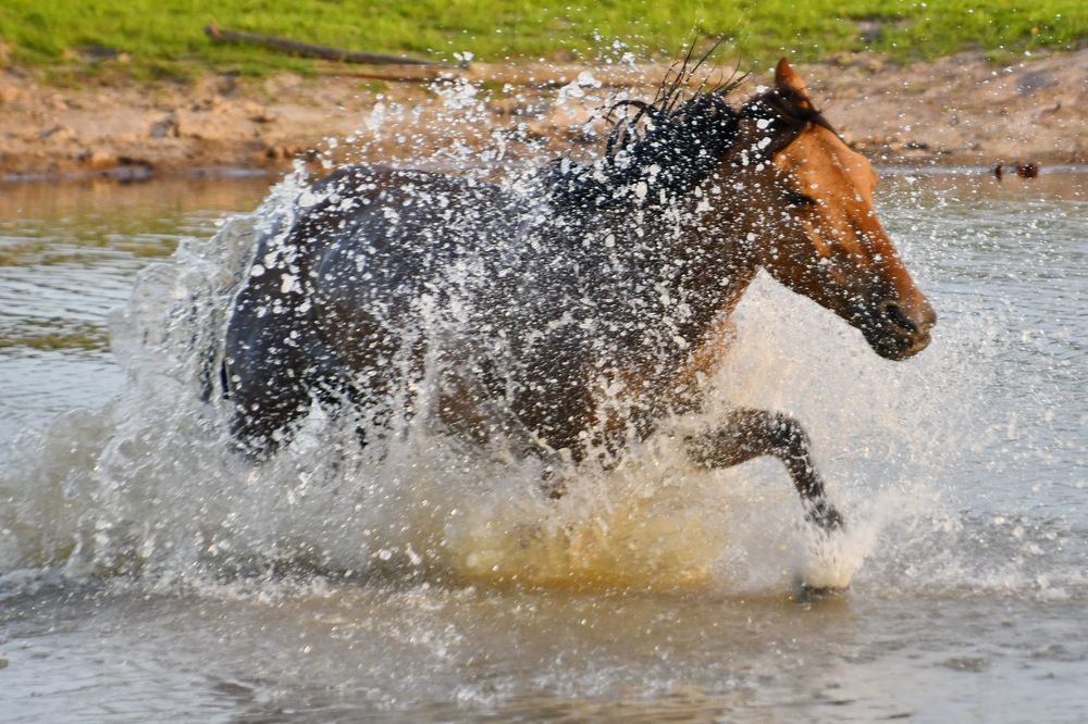 Photograph by Marzio Fattorini