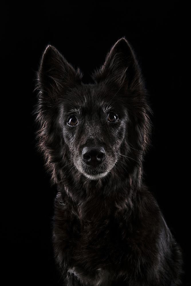 Photograph by Evgeniya Stafeeva