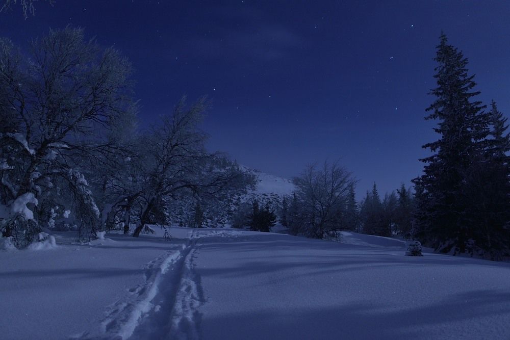 Photograph by Павел Фёдоров