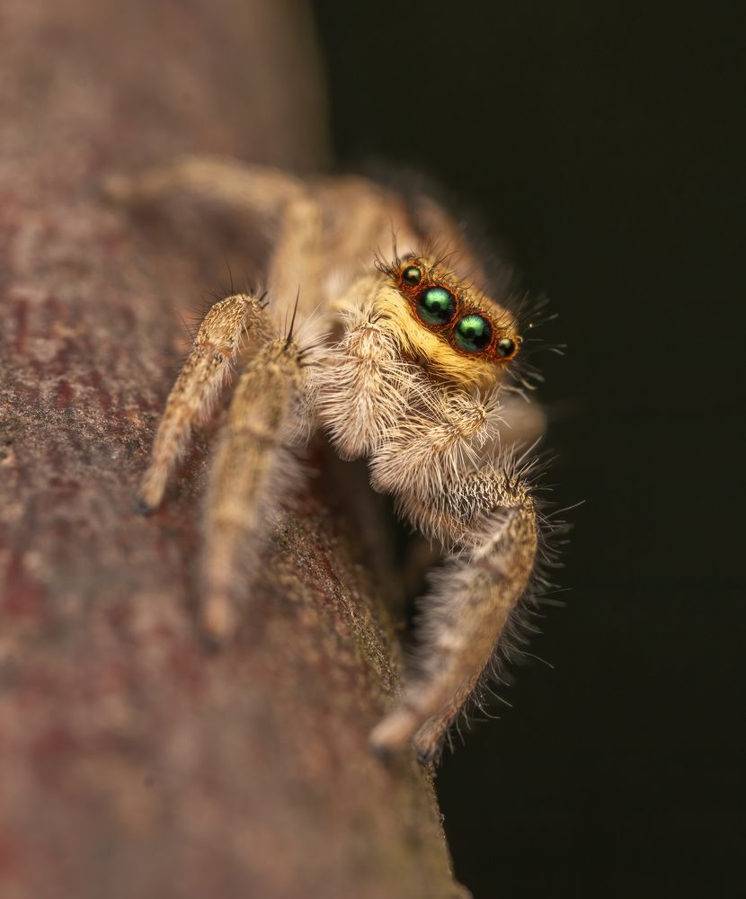 Photograph by Глеб Коровко