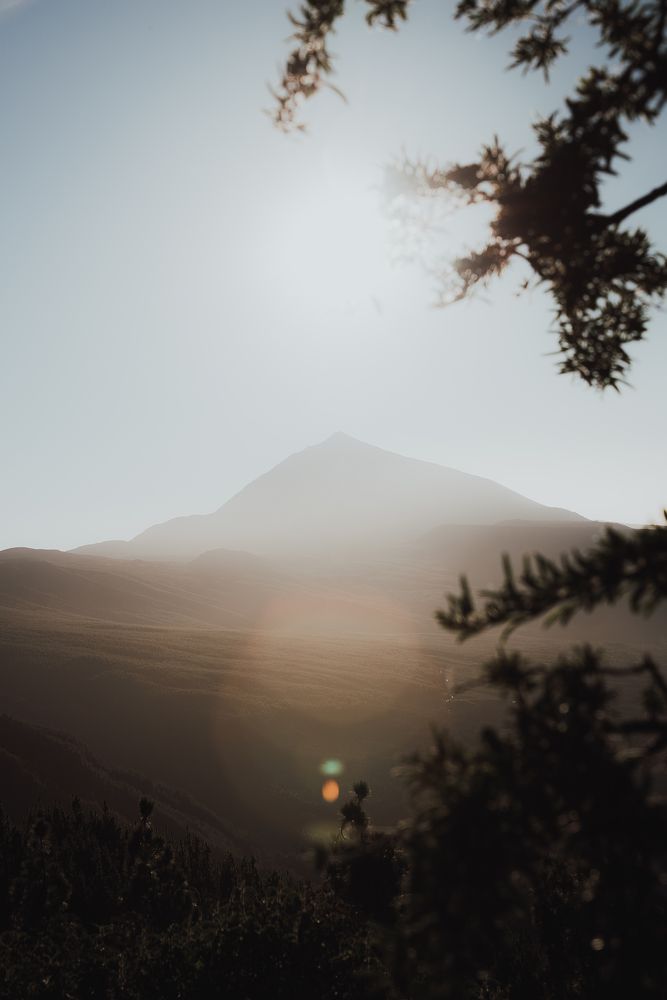 Photograph by Viktorija