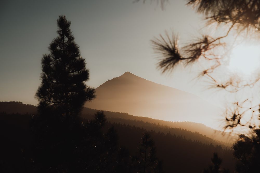 Photograph by Viktorija