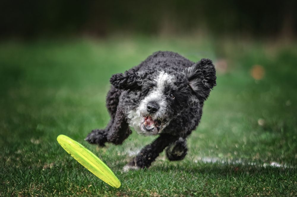 Photograph by Зубкова Юлия