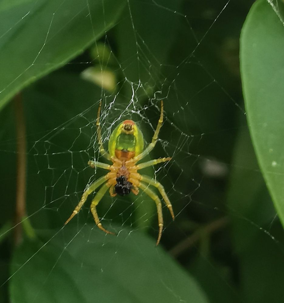 Photograph by Nikolett Mengyi