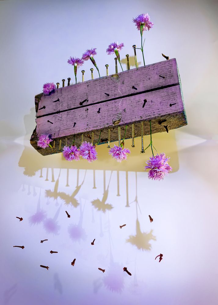 ГвоздИки, гвОздики и гвоздИчки