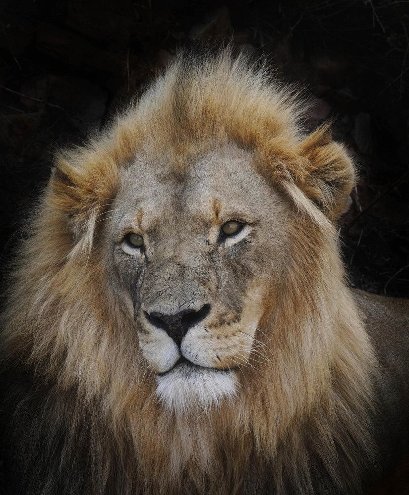 Photograph by Raed Victor Saad