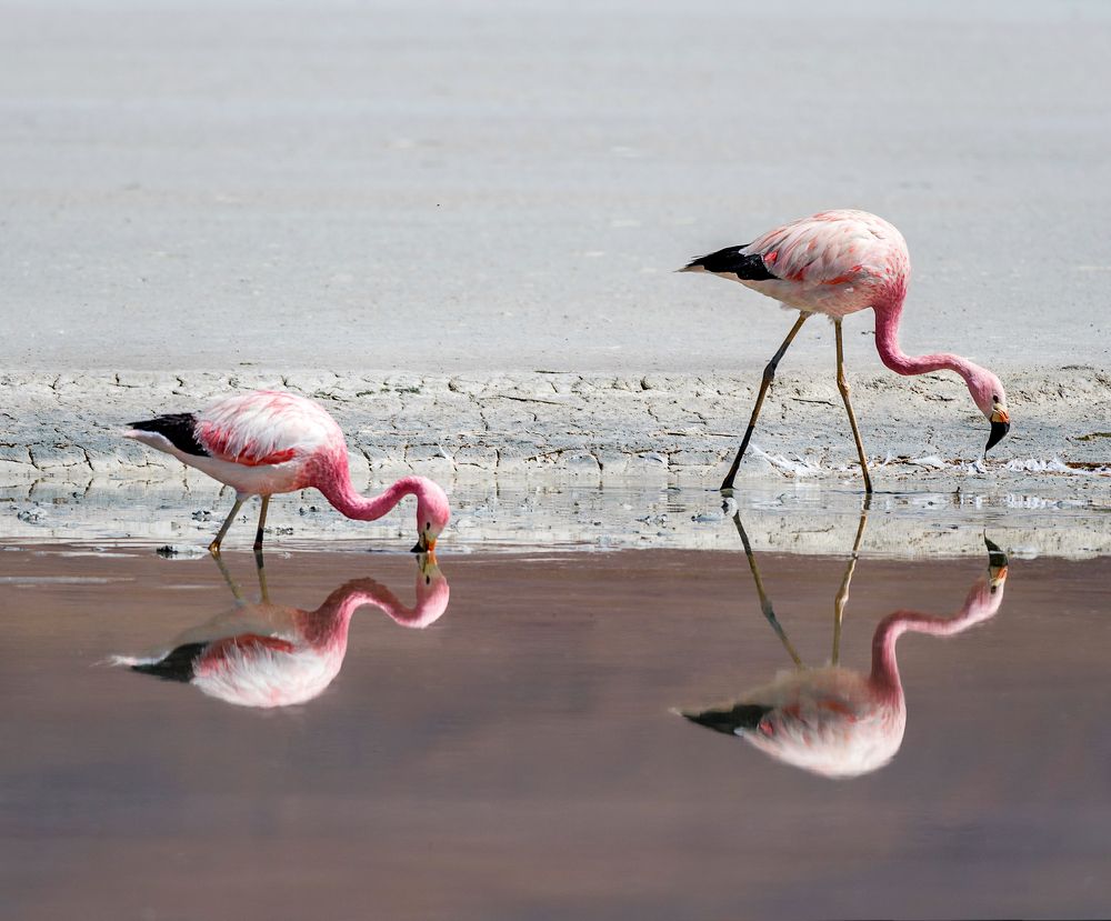 Photograph by Кирина Елизавета