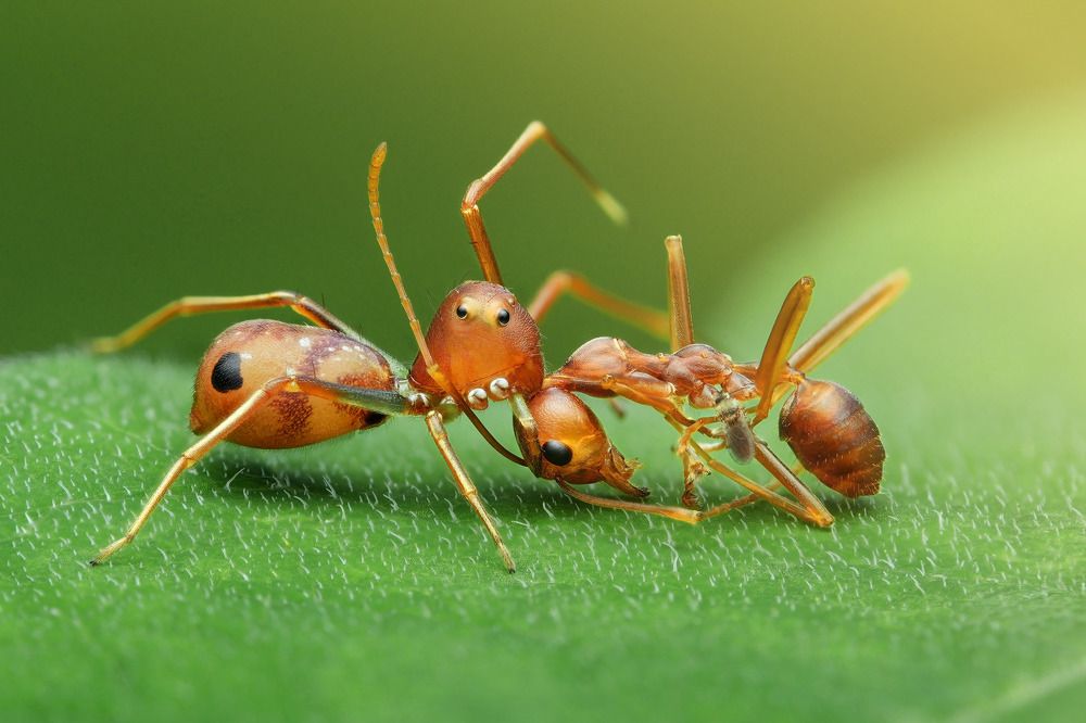 Фотография автора Tran Anh Tuan