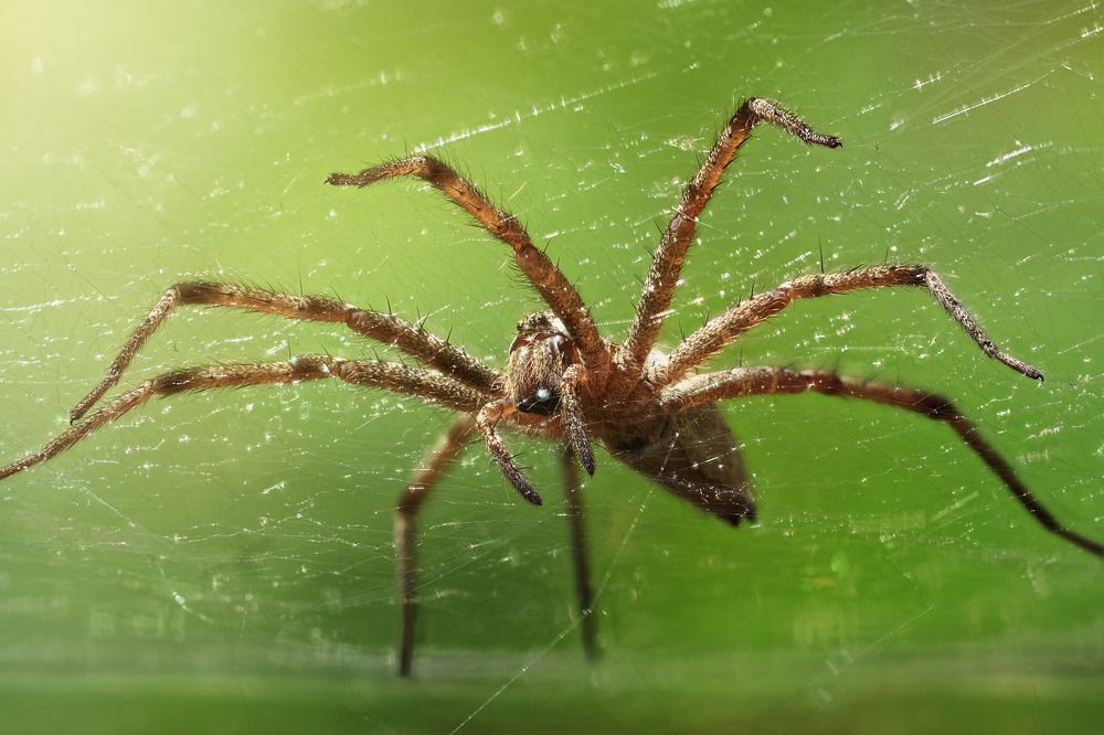 Фотография автора Tran Anh Tuan