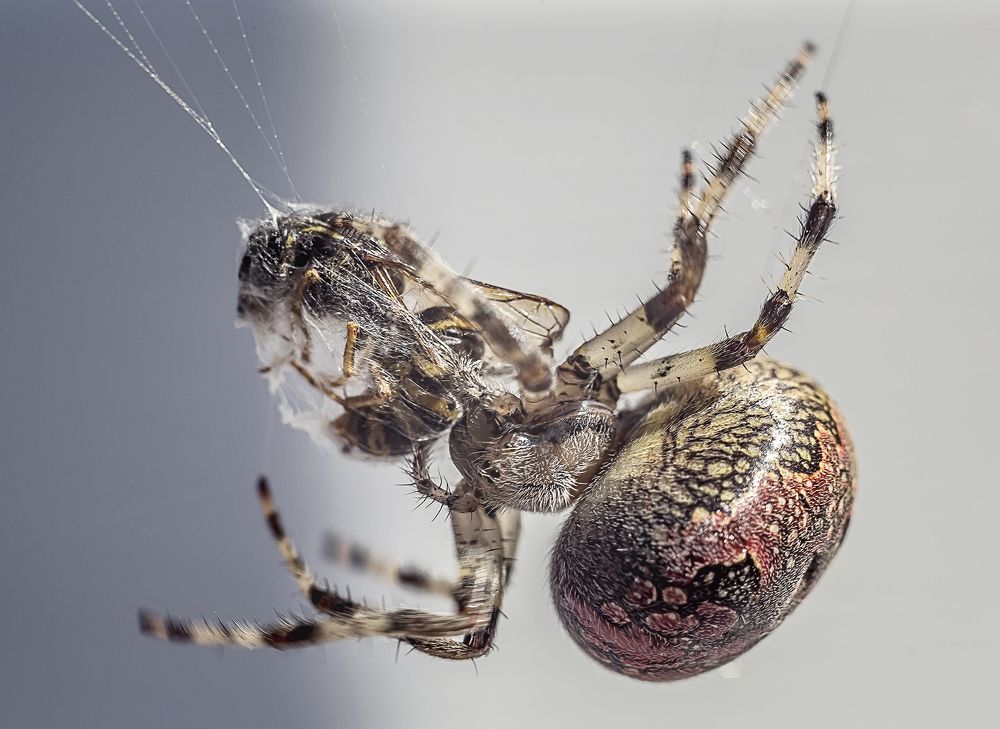 Photograph by Анкудинов Леонид