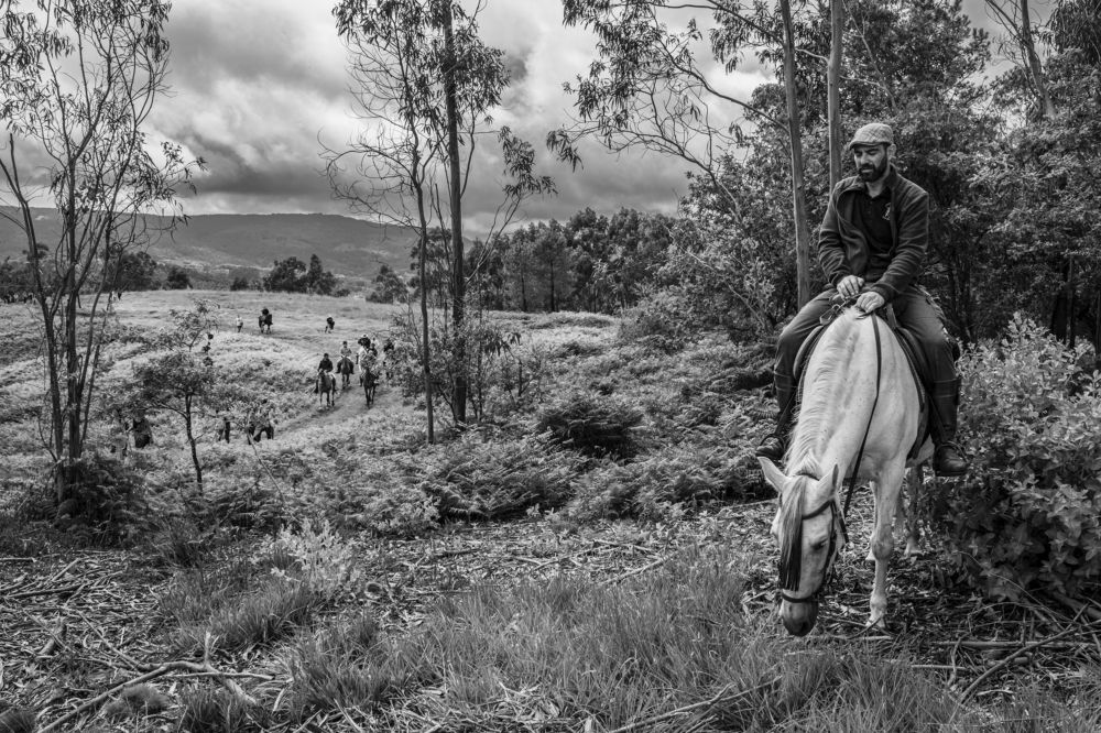 Фотография автора Sérgio Bruno Brandão