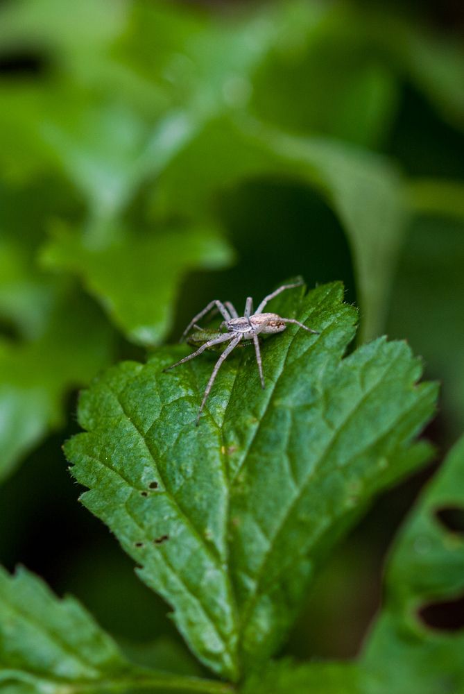Photograph by Isidora Nikolić