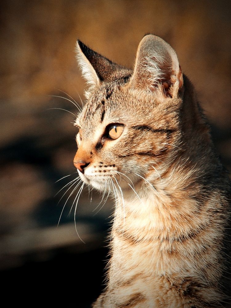 Photograph by Татьяна Долгушева