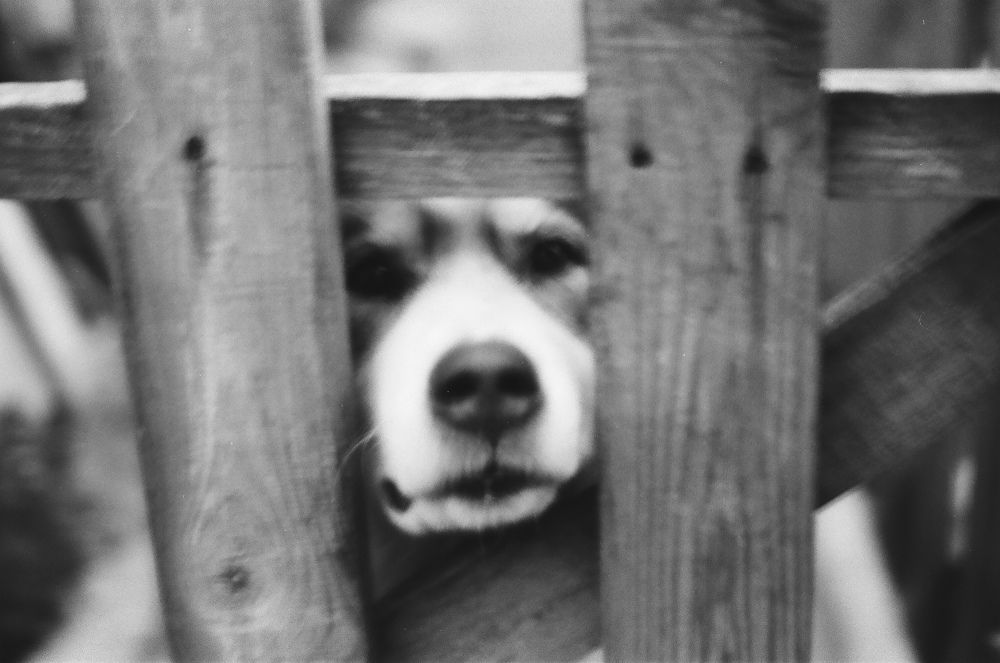 Фотография автора Александр