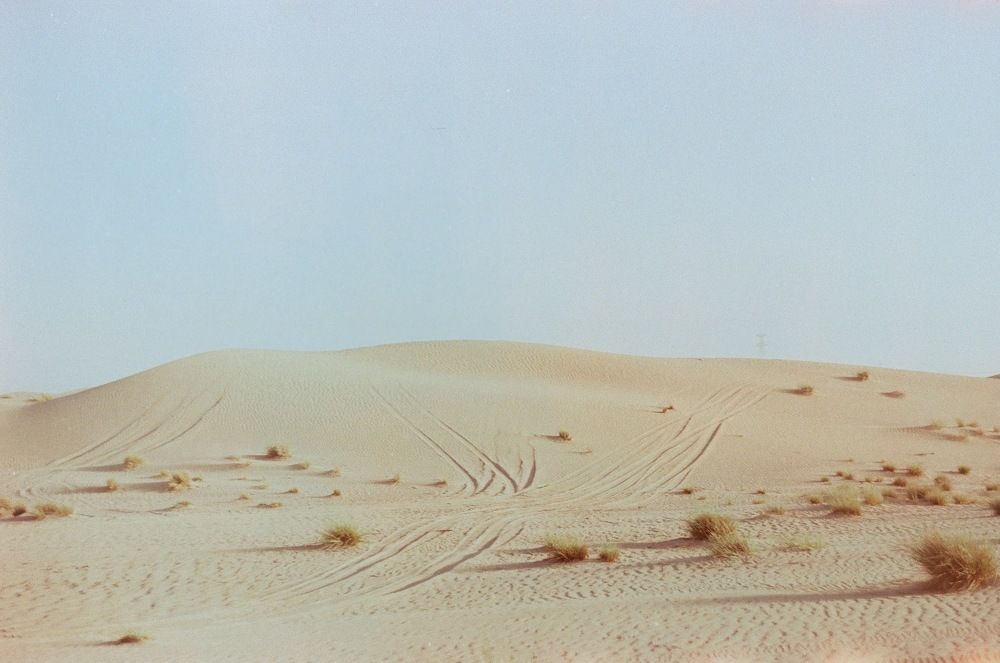 Фотография автора Александр