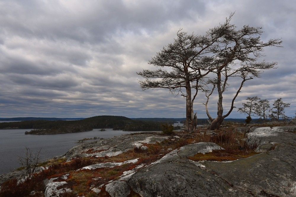 Photograph by Дарья Булавина