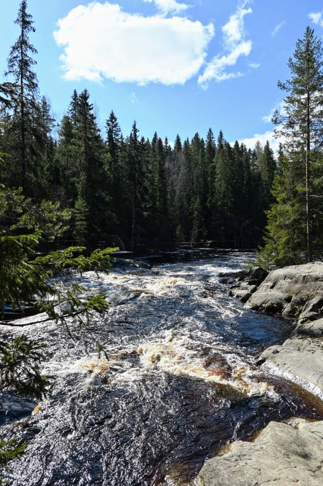 Photograph by Дарья Булавина