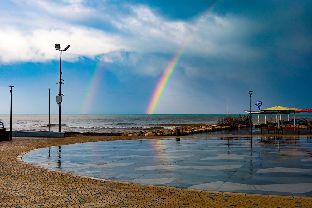 Photograph by Sharone