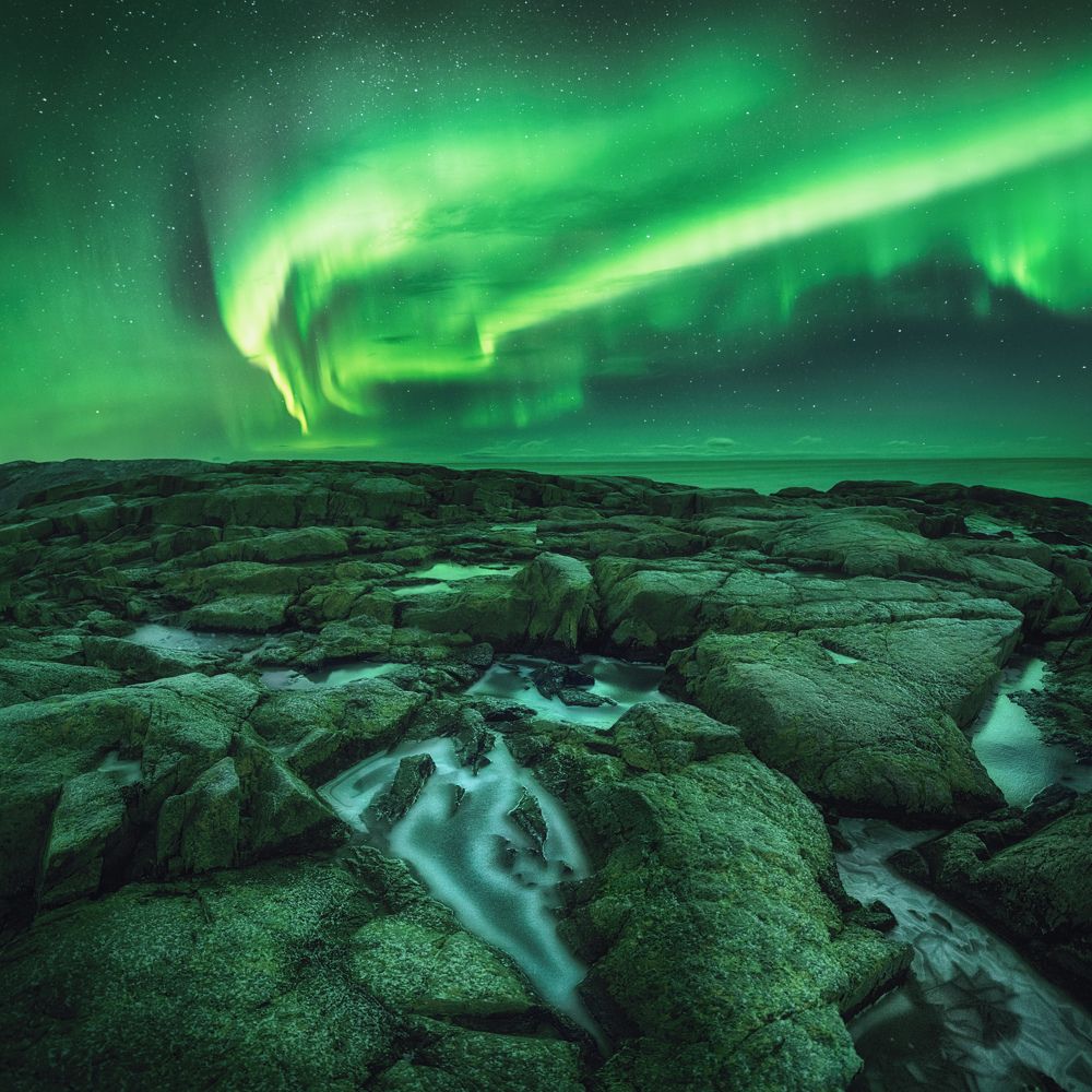 Photograph by Dmitry Medyancev