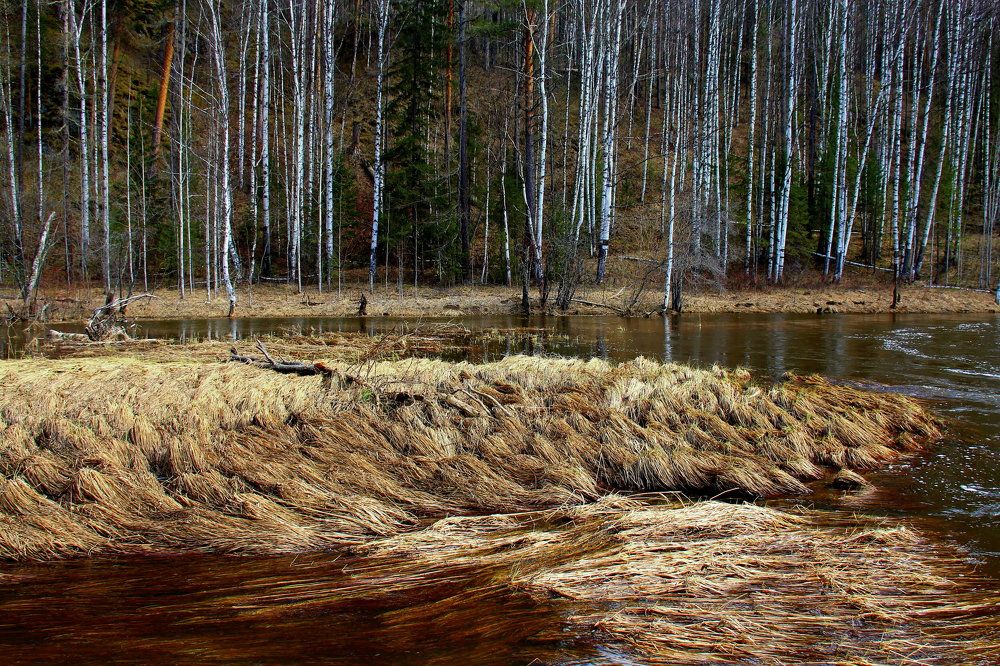 Photograph by Ирина Осипова